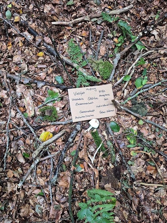 Waldmandala