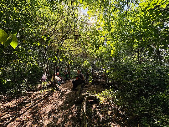 Teilnehmende sitzen im Wald